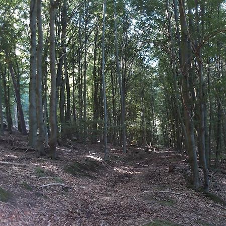 Appartement An Der Bicke Dehringhausen 外观 照片