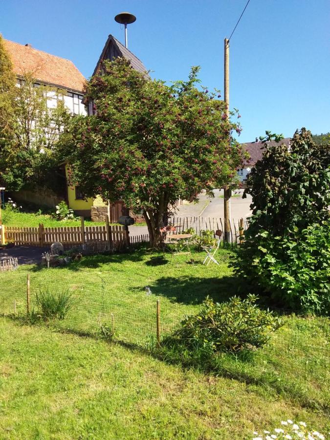 Appartement An Der Bicke Dehringhausen 外观 照片