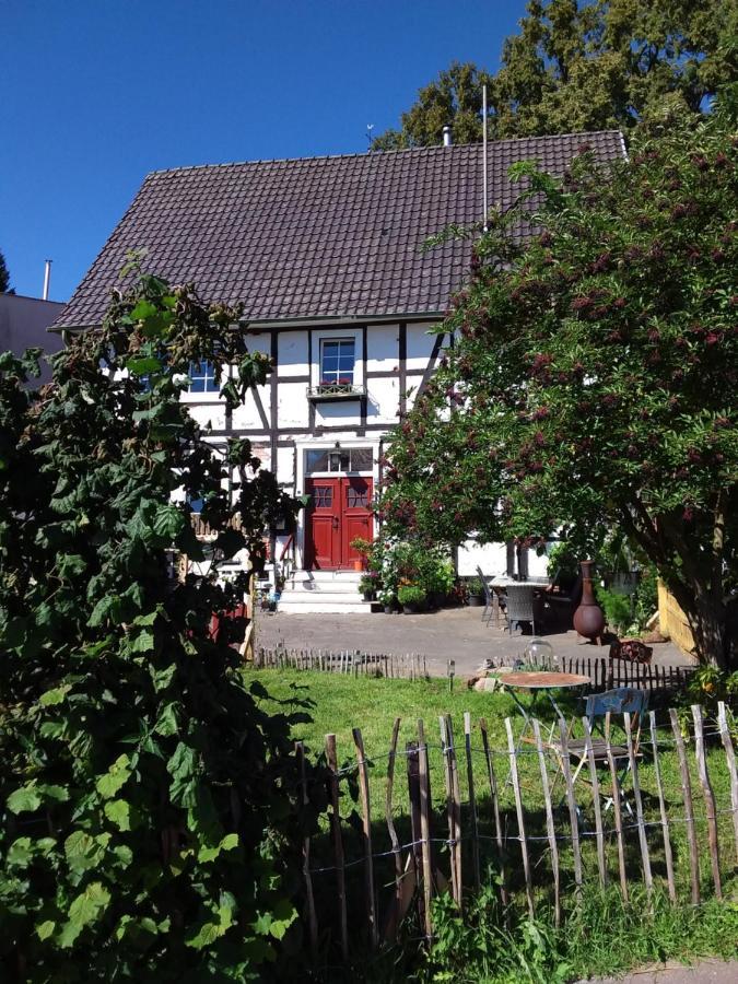 Appartement An Der Bicke Dehringhausen 外观 照片