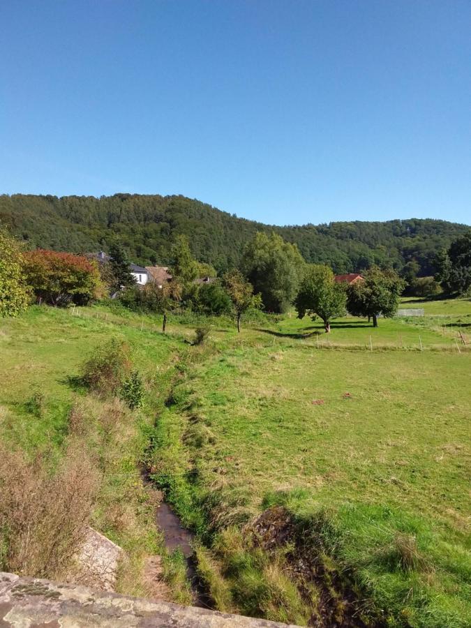 Appartement An Der Bicke Dehringhausen 外观 照片