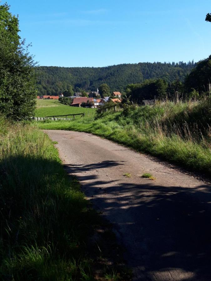 Appartement An Der Bicke Dehringhausen 外观 照片